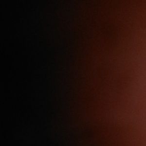 Meet your Posher, Todd